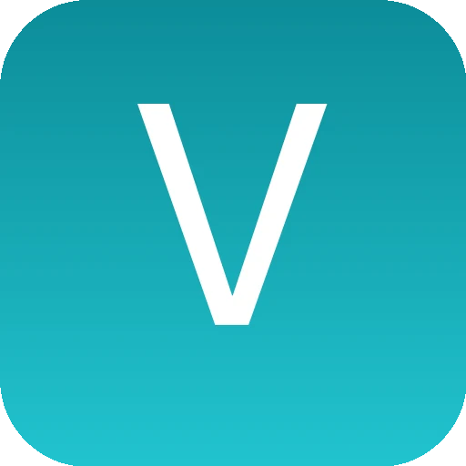 Vizme logo